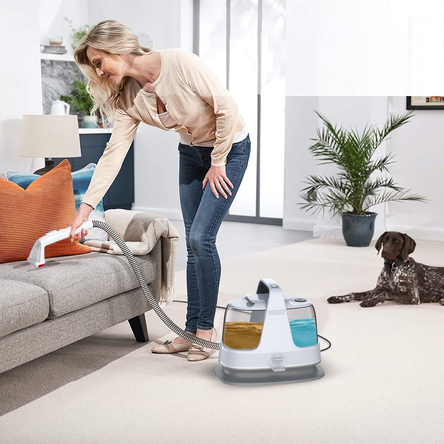 AC Wired Spot Cleaner, Stain Carpet Vacuum Cleaner, Pet Stain Eraser And Pet Washing Machine
