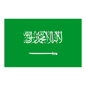 China to <strong>Saudi</strong> Arabia Shipping Agent with LCL+Express Logistics Services Sea Air Freight Forwarder for Dropshipping Products - Product Image 1