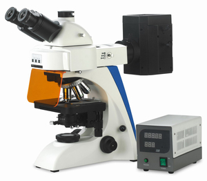 BestScope BS-2063FT Trinocular LED floresan biyolojik mikroskop Mercury lamba ve B & G filtre ve 0.5X c-mount adaptörü - Product Image 1