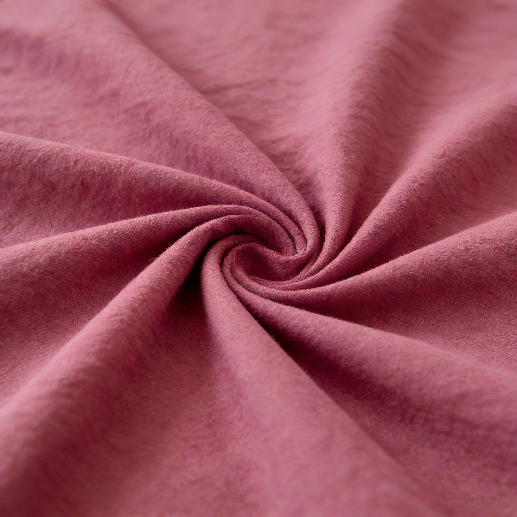 Rose poussiéreuse