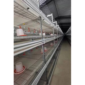 H Type <strong>3</strong> Tiers <strong>Chicken</strong> Pens and Welded Wire Mesh Galvanized <strong>Chicken</strong> Cage With Automatic Control System for <strong>Chicken</strong> House - Product Image 1