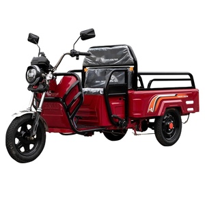 Pil ağır kapalı üç tekerlekli bisiklet Moped elektrikli üç tekerlekli bisiklet 60V kargo Eec onu ben elektrikli hibrid bisiklet 24 inç açık JM <span class=keywords><strong>501</strong></span> - 800W