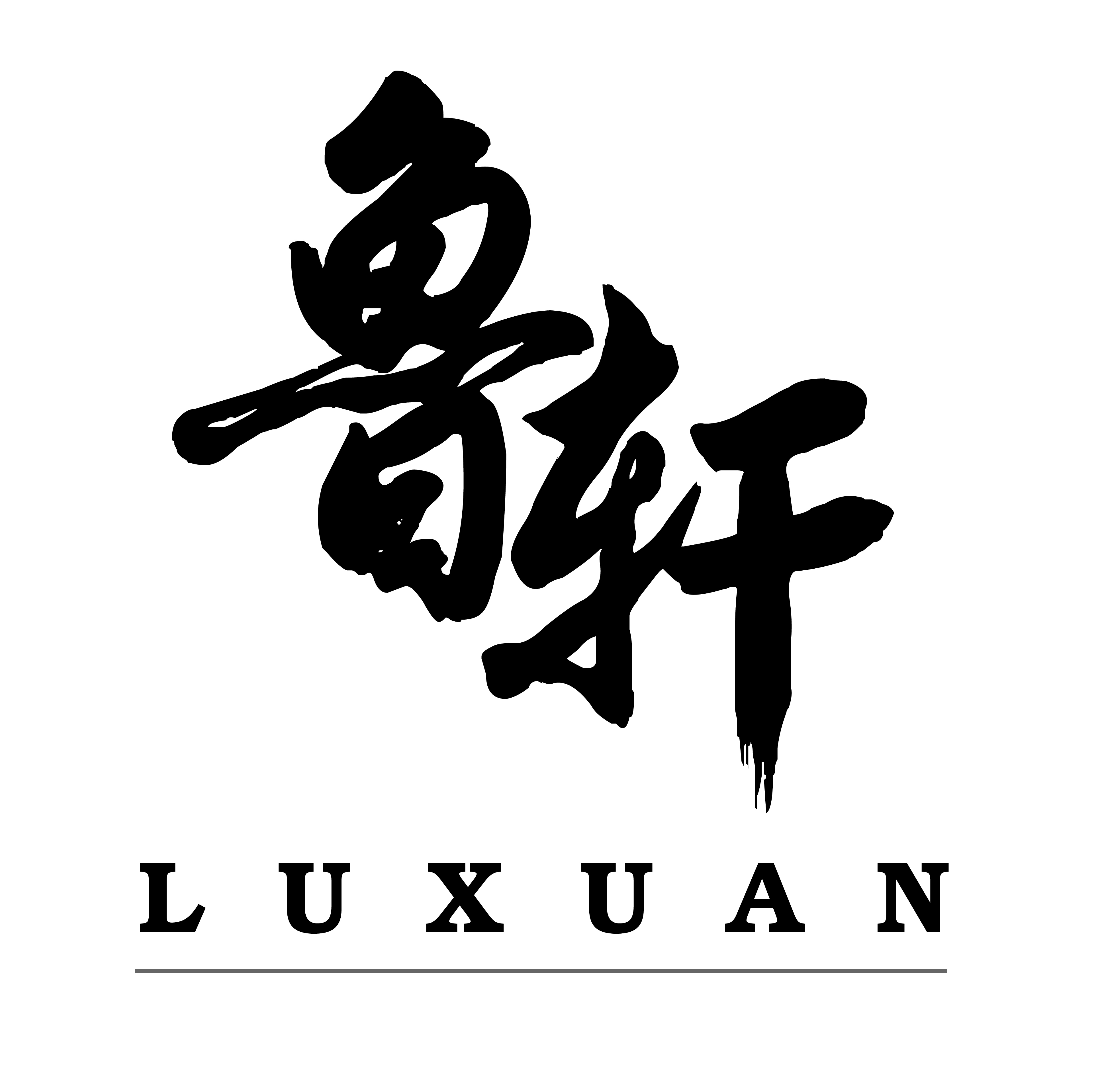company logo