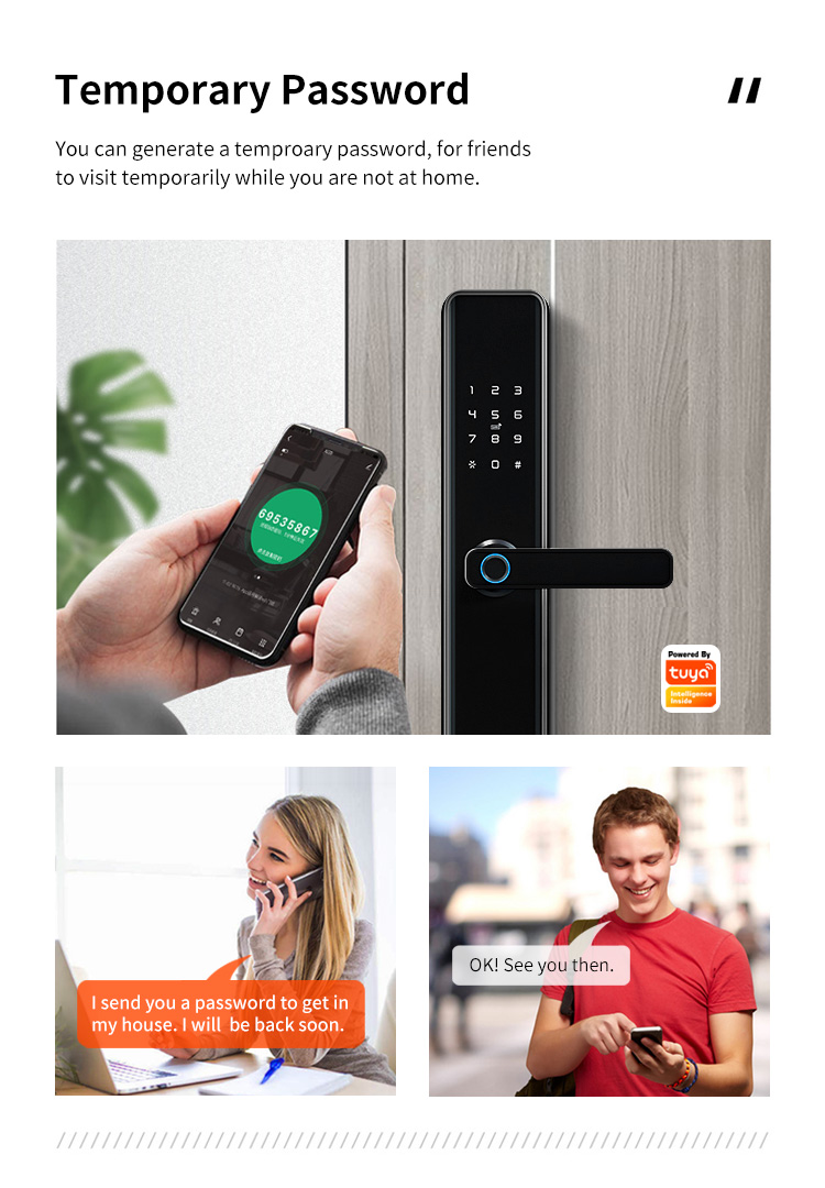 Economic Keyless Handle Fingerprint Door Lock with Wifi Tuya APP