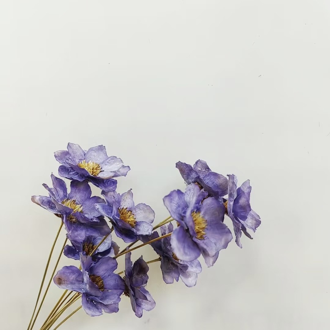 10 purple pens