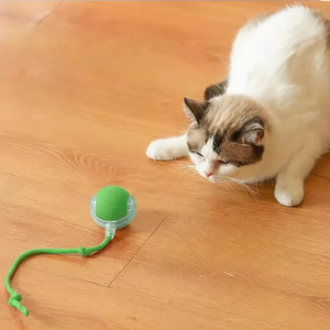 Juguete de pelota de gato interactivo bien popular 2025 nuevos juguetes para gatos juguete de gato USB interactivo hierba gatera en el interior - Product Image 1