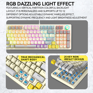 TWOLF OEM <strong>Custom</strong> 97 <strong>Key</strong> Pbt <strong>Keyboard</strong> Mechanical <strong>Keyboard</strong> Special Color Personalized Two Color KeyCap Wired <strong>Keyboard</strong> - Product Image 6
