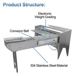 Máquina clasificadora automática de huevos de pato de alta eficiencia/Clasificador de huevos de 10000 piezas por hora/máquina clasificadora electrónica de huevos - Product Image 2