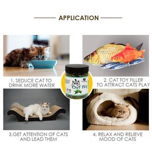 Custom Private Label <strong>Catnip</strong> Leaves <strong>Catnip</strong> Cat Mint Bottle Natural Strict Selected Premium Fresh <strong>Catnip</strong> Leaves - Product Image 6
