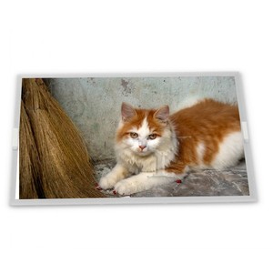 10.4インチa-Si TFT-LCD B104SN01 V2産業用制御スクリーン長方形スクリーン液晶モニター新品オリジナル - Product Image 1