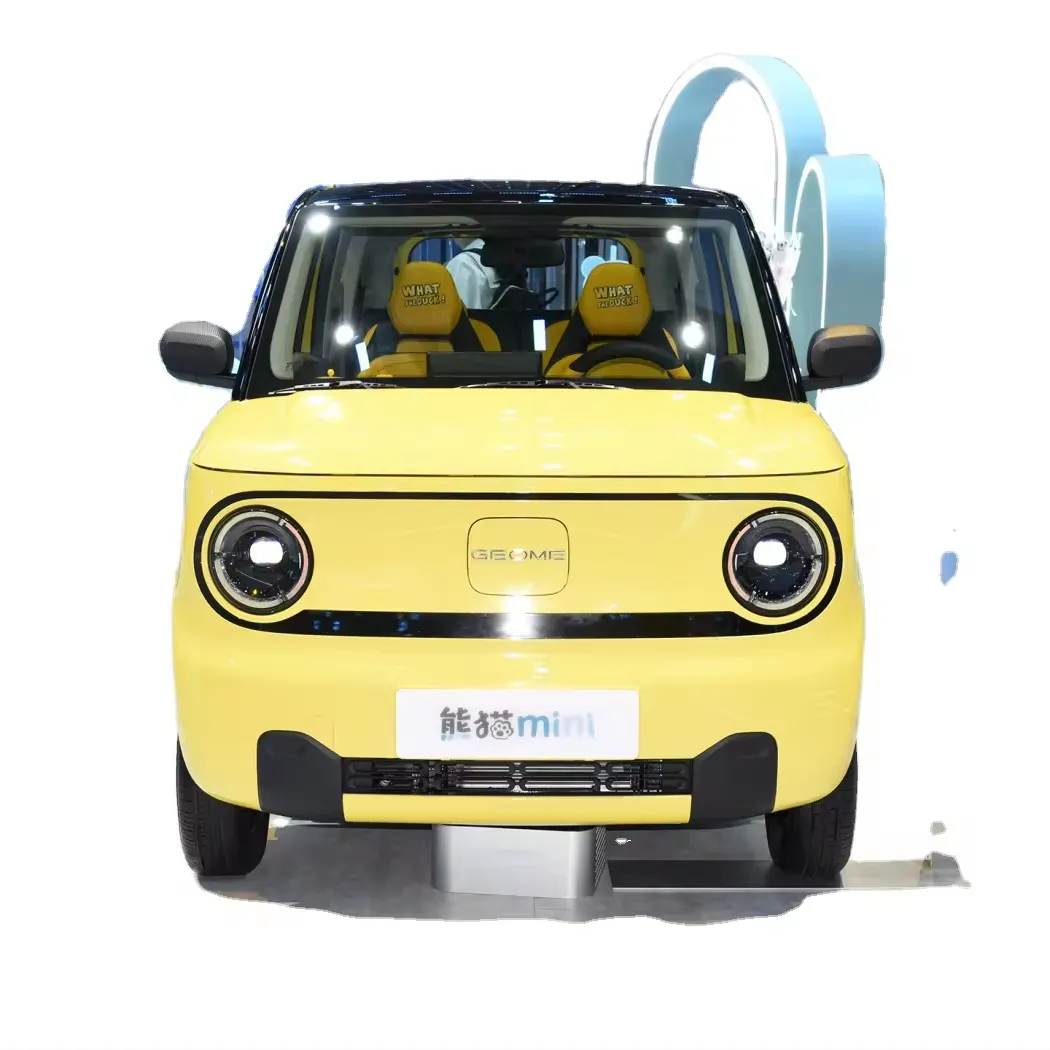 Cinese Geely Panda Mini EV Geome gamma 120KM 200KM elettrico mini e auto per il prezzo più basso per adulti