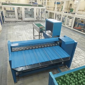 Eier sortiermaschine automatische automatische Eier sortiermaschine Eier sortier-und Verpackungs maschine - Product Image 5