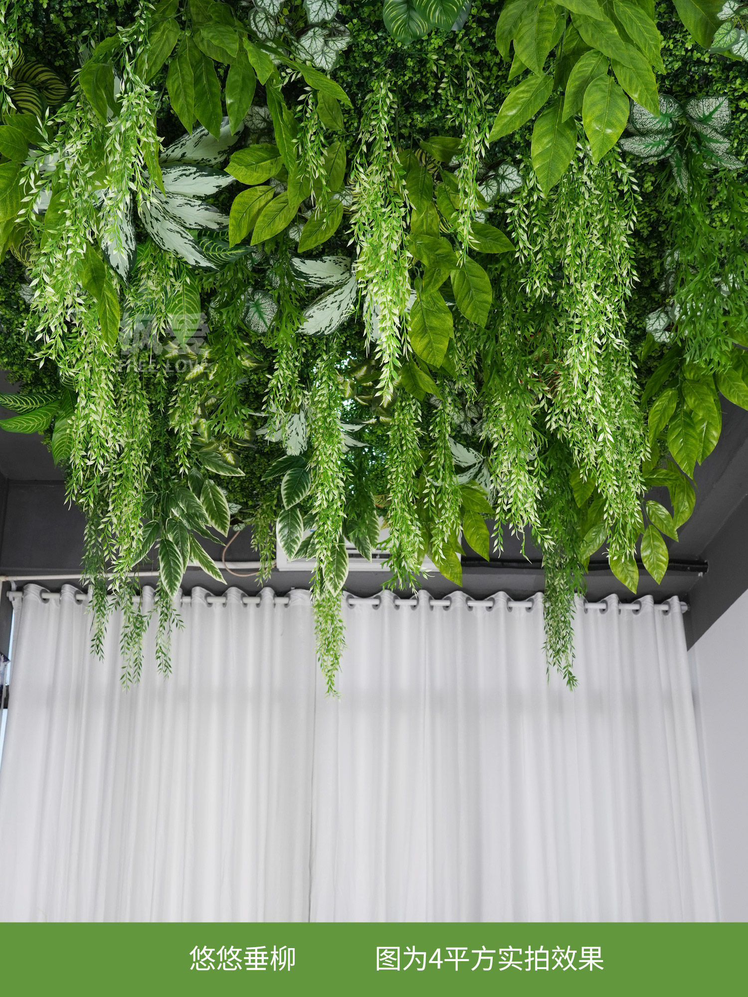 Average price per square meter weeping willow