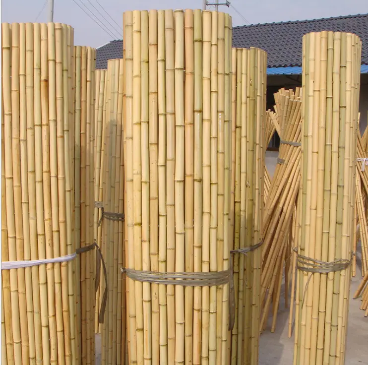 Caña de bambú Moso para decoración y construcción, venta al por mayor, profesional