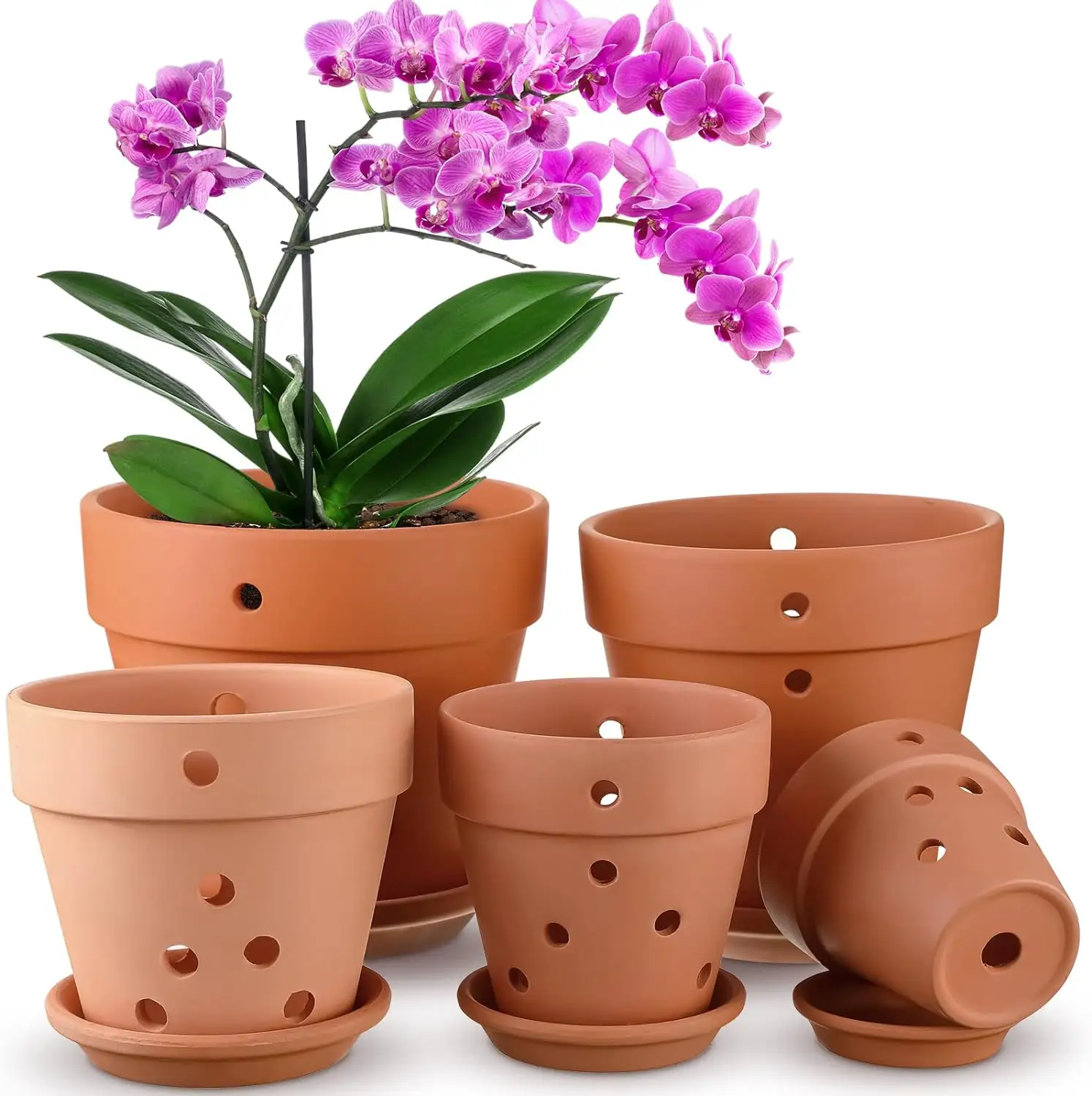 Drenaj delikleri ve tabaklar ile Terracotta tencere kapalı açık büyük kil tencere bitkiler ot Succulents yetiştiricilerinin için