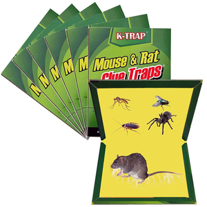 Güçlü yapıştırıcı karton ön Baited fare tutkal tuzağı sıçan tutkal tuzağı s yapışkan tuzak karton kitap fareler ve fareler için - Product Image 1