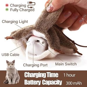 Juguetes de movimiento interactivo para mascotas, ardilla voladora automática recargable, juguete para gatos y pájaros con hierba gatera - Product Image 2