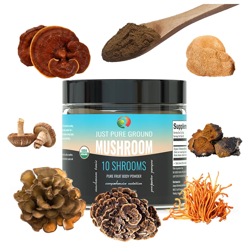 Eigenmarke 10 in1 Reishi Cordyceps gemischte Pilzextraktpulver organisches Lions Mane Chaga Extraktmischung Pilzpulver