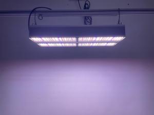 Bahçecilik GJ serisi 450w 780w 850w 3.0umol/j LED ışık büyümek IP65 1:1 HPS ikamesi balastlar LM301B bitki çiçek için LED büyümek - Product Image 5