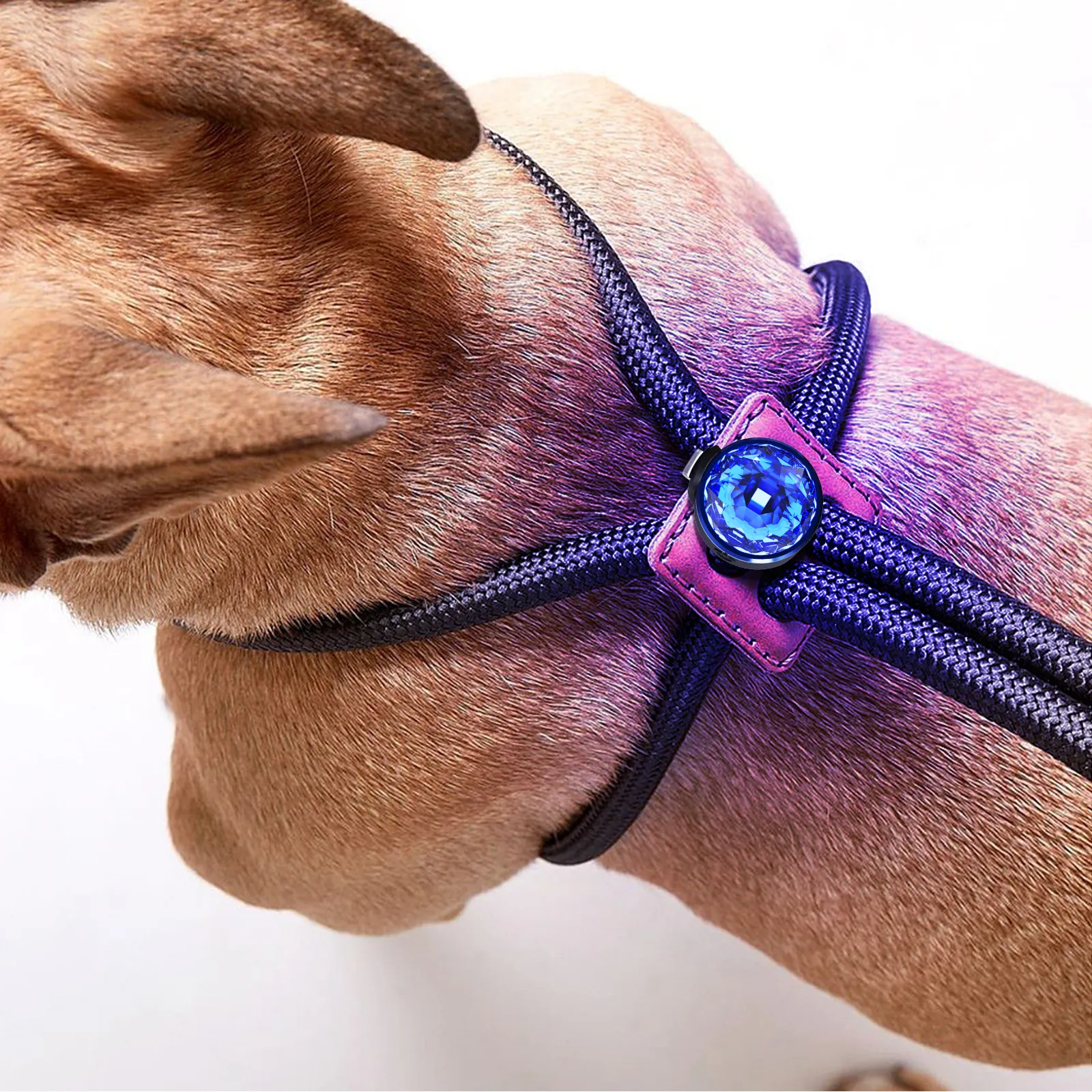 Linterna de banda de silicona recargable, luces LED de seguridad para perros para caminar de noche, Clip en luz Led para collar de perro, correa de arnés