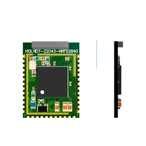 Holyiot Ble 4,0 Módulo inalámbrico Bluetooth Usb Adaptador Bluetooth Receptor nRF52840 Módulo - Product Image 1