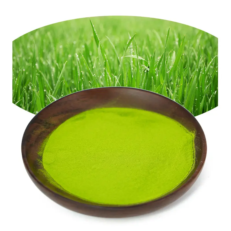 Extrait de plante naturelle pure poudre de jus soluble dans l'eau poudre d'herbe d'orge