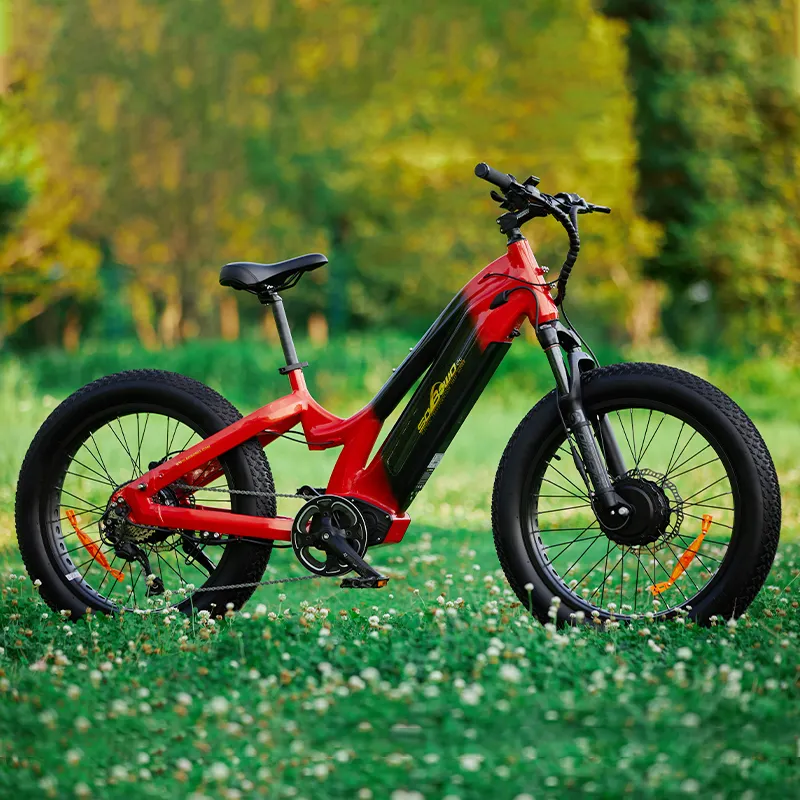 Лидер продаж kenda fat tire bicicleta electrica shimano 1000 Вт двухмоторный bafang ebike 48 В Электрический пляжный крейсер датчик крутящего момента Электронный велосипед