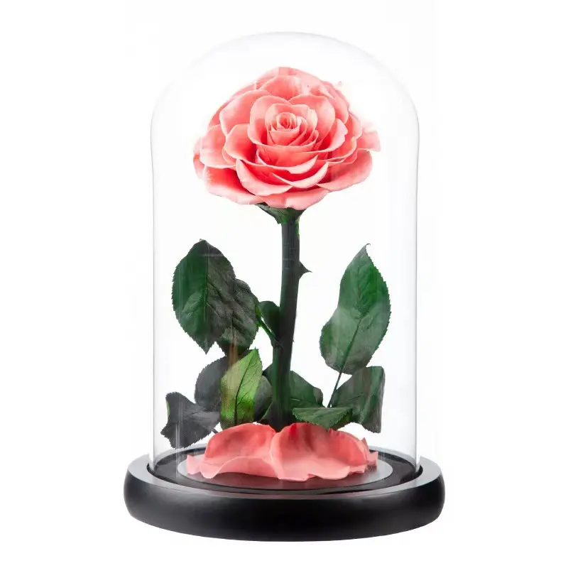 Vente en gros de fleurs séchées Real Touch fleurs d'hortensia conservées avec tige pour la décoration de mariage boîte-cadeau de roses naturelles