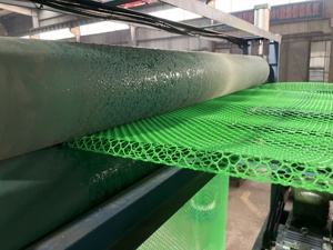 3D土工网用于植被覆盖边坡绿化和排水保护垫/土工网覆盖植被网挤出机供应商 - Product Image 5