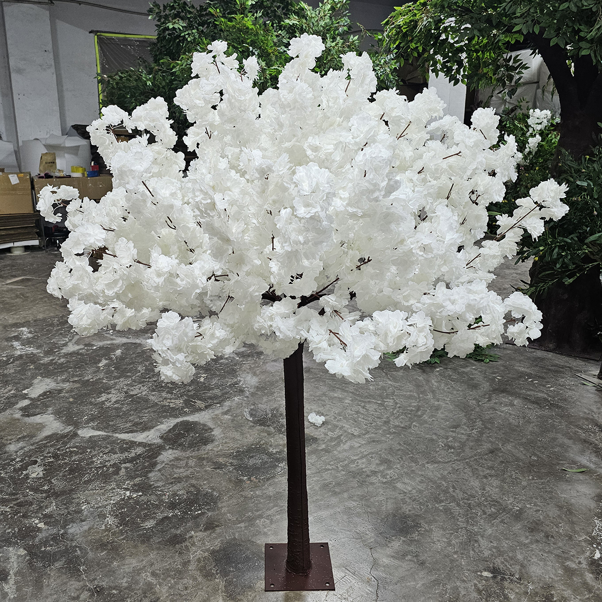 White