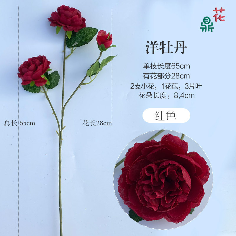Pivoine rouge