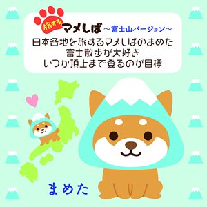 日本可爱富士柴犬毛绒软吉祥物泰迪熊靠垫毛绒动物棉玩具日本旅游礼品批发