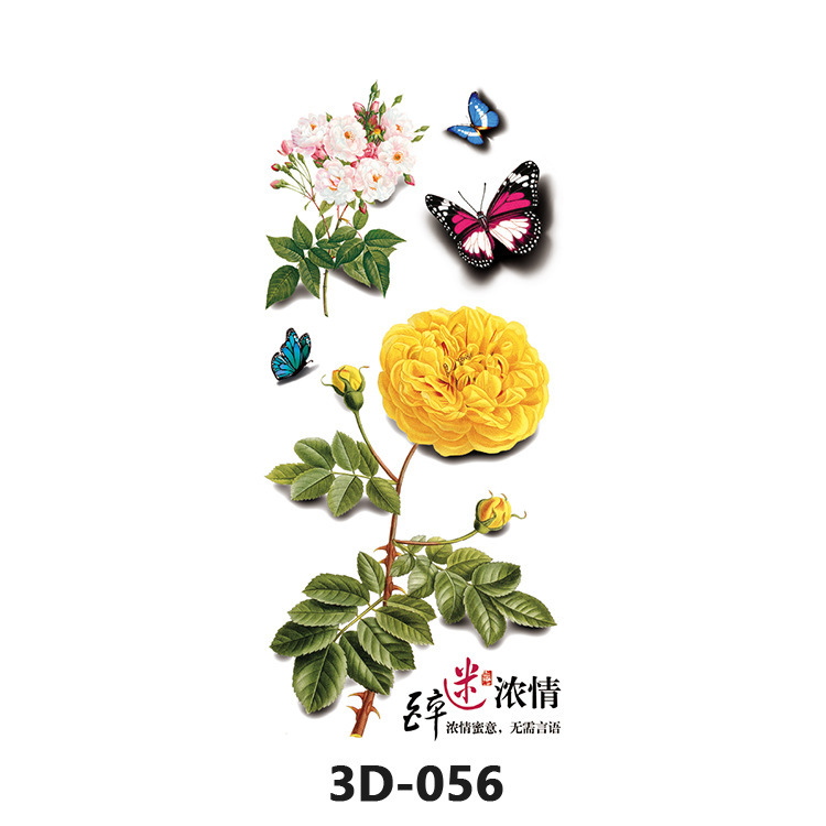 3D-056