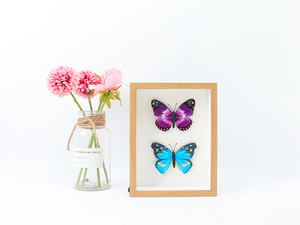 8x8 Inch Shadow <strong>Box</strong> <strong>Display</strong> Case <strong>Deep</strong> Wood &amp; Glass Shadowbox Picture <strong>Frame</strong> with White Board Wall Hanging &amp; Free Standing - Product Image 4