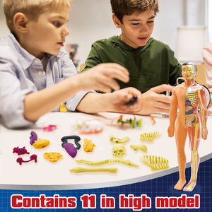 3 डी पूर्ण शरीर शरीर रचना मॉडल शैक्षिक मोंटेसरी पहेली बच्चों और किशोरों के लिए विज्ञान किट विज्ञान और इंजीनियरिंग खिलौने - Product Image 2