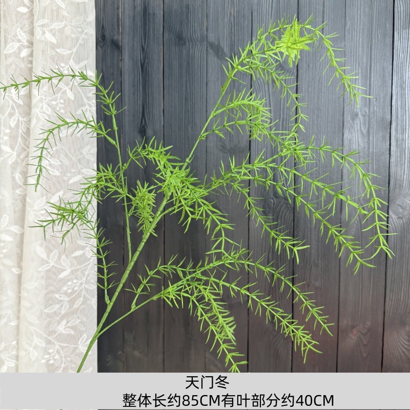 Asperges