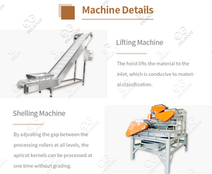 Automatische Haselnuss-Sortier verarbeitung Brechen Palmkernschalen-Cracker Kleine Nuss-Crack-und Schäl-Mandel-Zerkleinerung maschine - Product Image 4