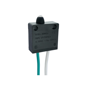 Push Button mikroswitch 4A 25T85 için WS7-DDB250-7604 üretici kaynağı mikro anahtarı su geçirmez IP 67 garaj kapıları için - Product Image 2