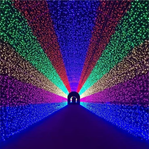 <strong>DMX512</strong> Control Programmable 220V Christmas Decoration Festival Landscape IP65 <strong>LED</strong> Fairy Outdoor <strong>String</strong> <strong>Light</strong> - Product Image 1
