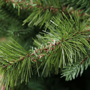 JOYWOODクリスマスデコレーションクリスマスツリー暗号化および厚さPEセグメントパインニードル + PVCクリスマスツリー - Product Image 6