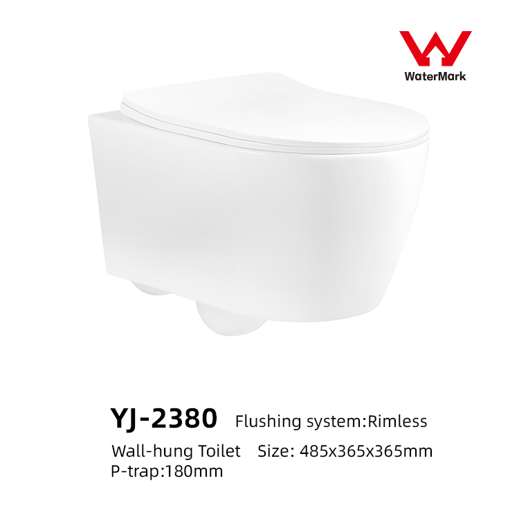 Wall hung toilet 6 2380