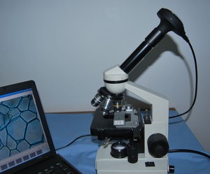 5.0mp数码显微镜相机高分辨率2592*1499 CMOS专业成像传感器生物显微镜无插值 - Product Image 3