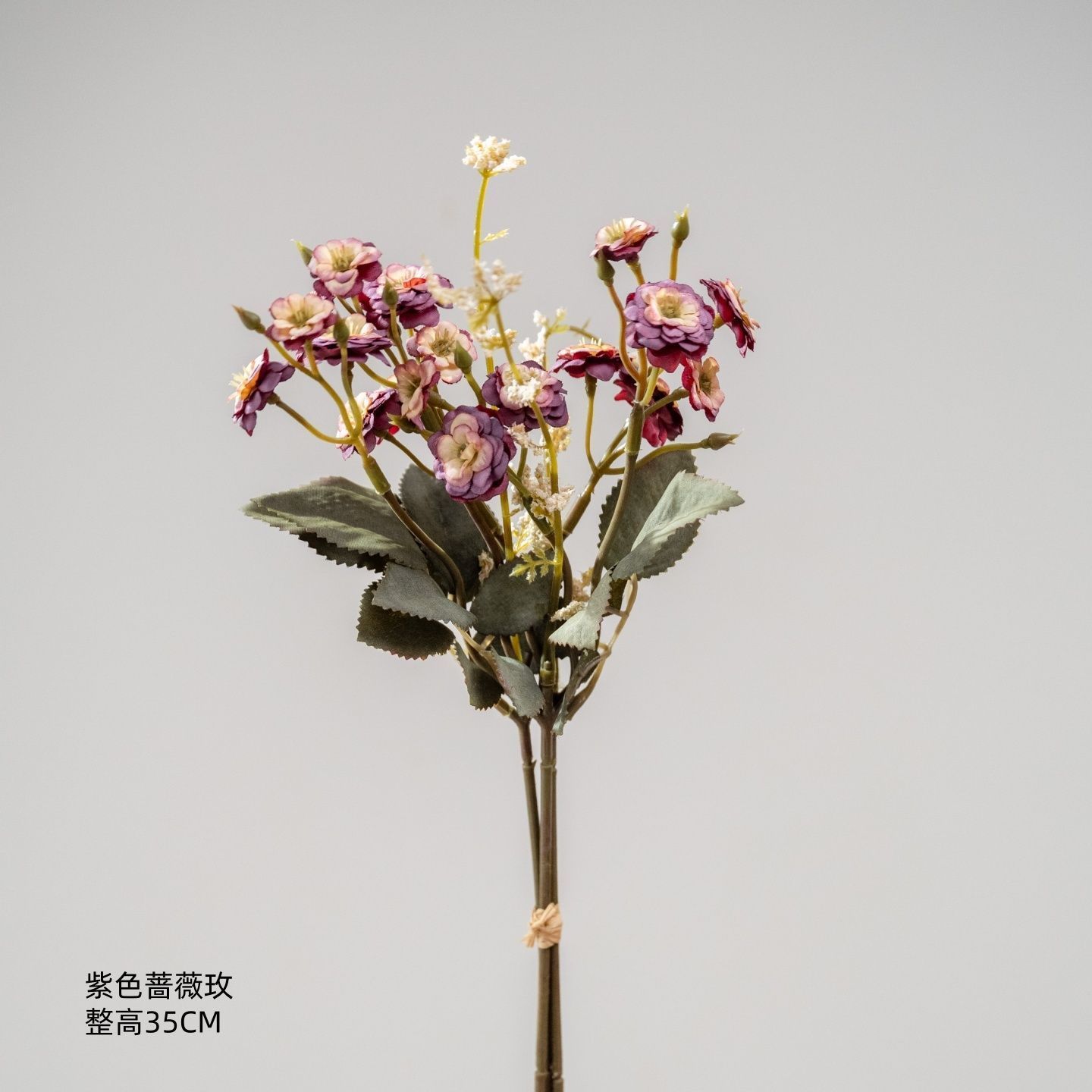 Rose violette