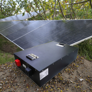Madsun工厂价格48V LiFePO4电池5KWH 100Ah 51.2v露营车电动车高尔夫球车电池备用应急电源
