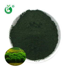 Pincredit toptan fiyat yüksek Protein organik yeşil yosun chlochlovulgaris tozu - Product Image 1