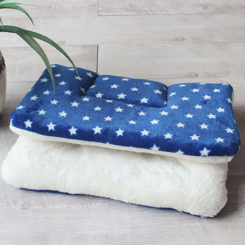Starry Blue