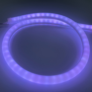 Luci rotonde in Silicone Neon LED-270 ° RGB colore in esecuzione, programmabile, a risparmio energetico, durevole. All'ingrosso & OEM disponibili - Product Image 1