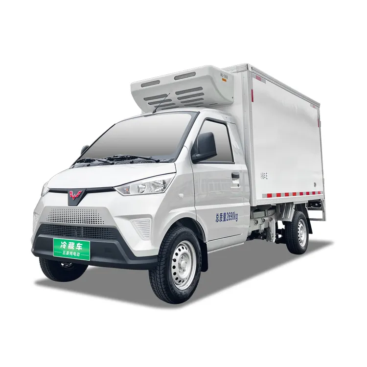 wuling 2 Ton Mini Refrigerated Truck Refrigerated Truck Brand High Quality Cargo Van Mini Truck