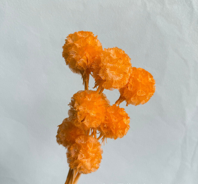 สีส้ม