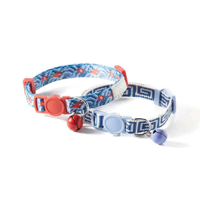 ขี่ลมและคลื่นและเปลี่ยนพันครั้ง